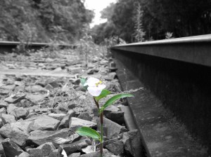 2170025996_f6105a18ec_b